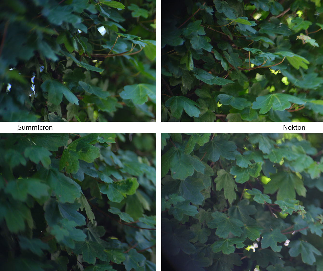 Aufnahme zeigt die unsch&auml;rfe in den Ecken eines Fotos