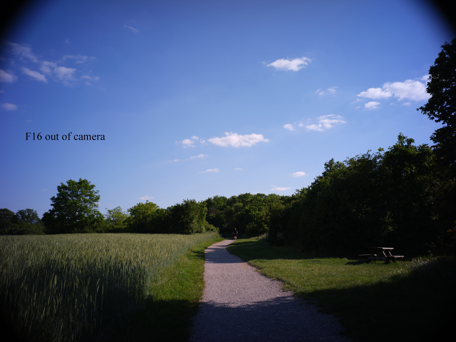 Landschaftsbild aufgenommen mit dem Voigtl&auml;nder 35mm Ultron F2