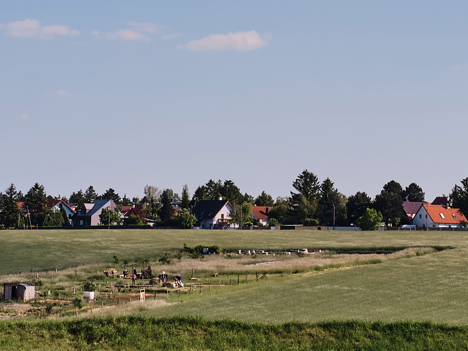 Detailaufnahmen mit dem Zeiss 35mm C Biogon