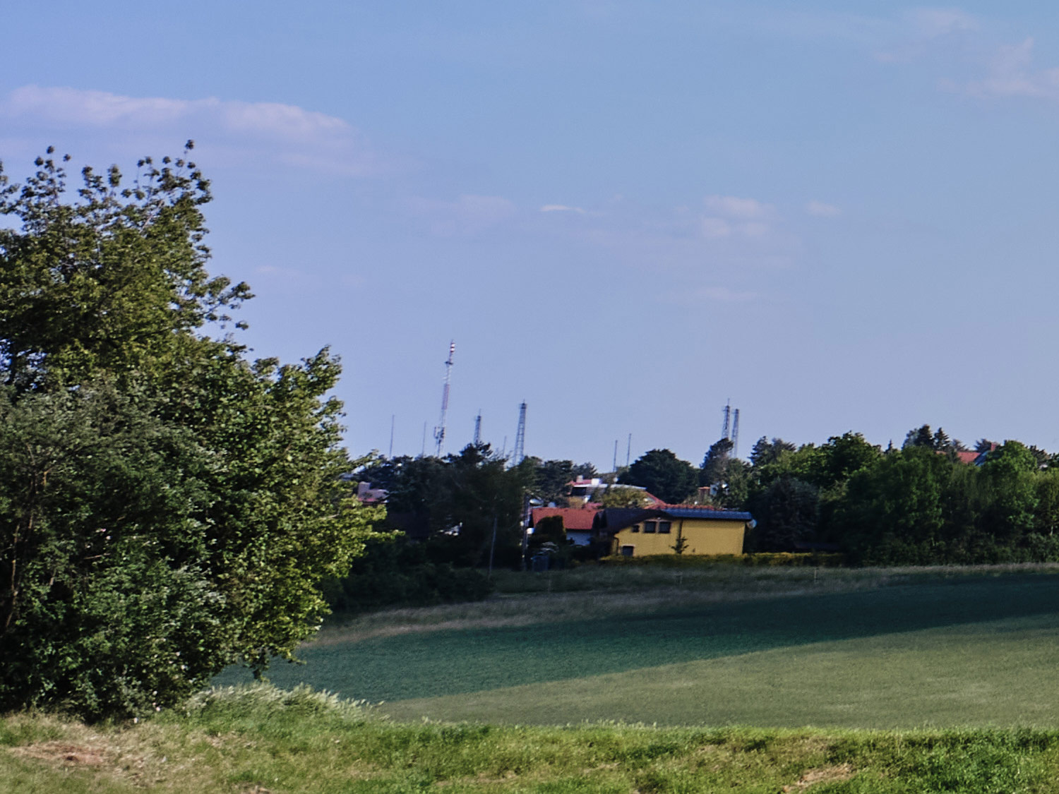 Detailaufnahmen mit dem Zeiss 35mm C Biogon