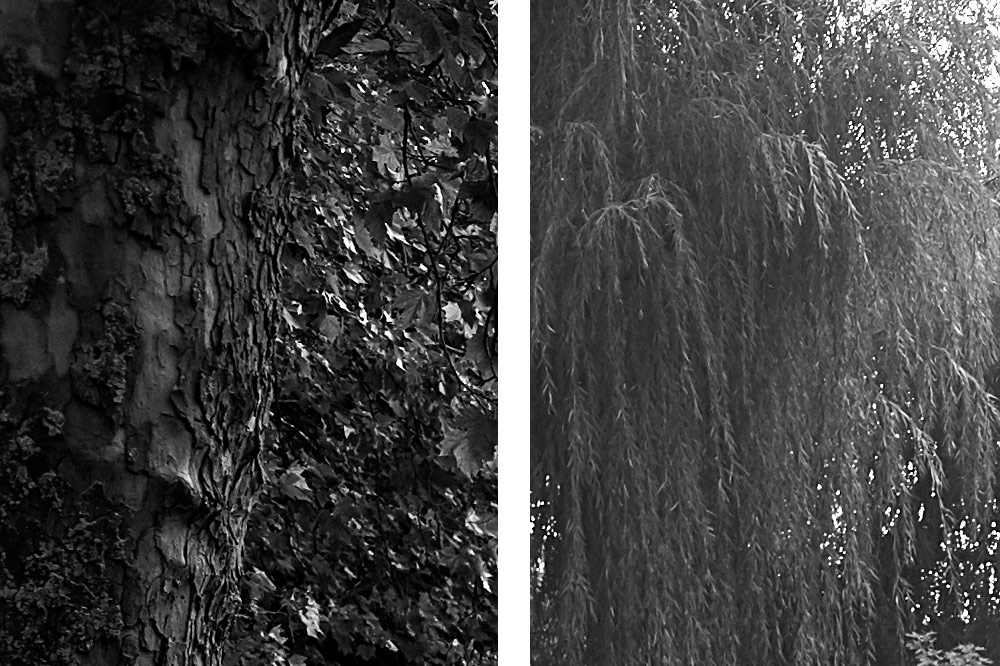 Foto zeigt die Ecken des vorigen Fotos um die Sch&auml;rfe zu beurteilen