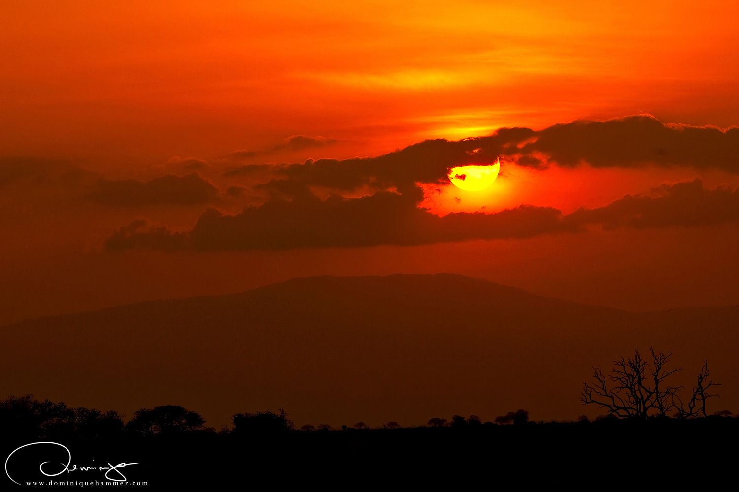 Sonnenuntergang im Nationalpark Tsavo East in Kenia von Fotograf Dominique Hammer