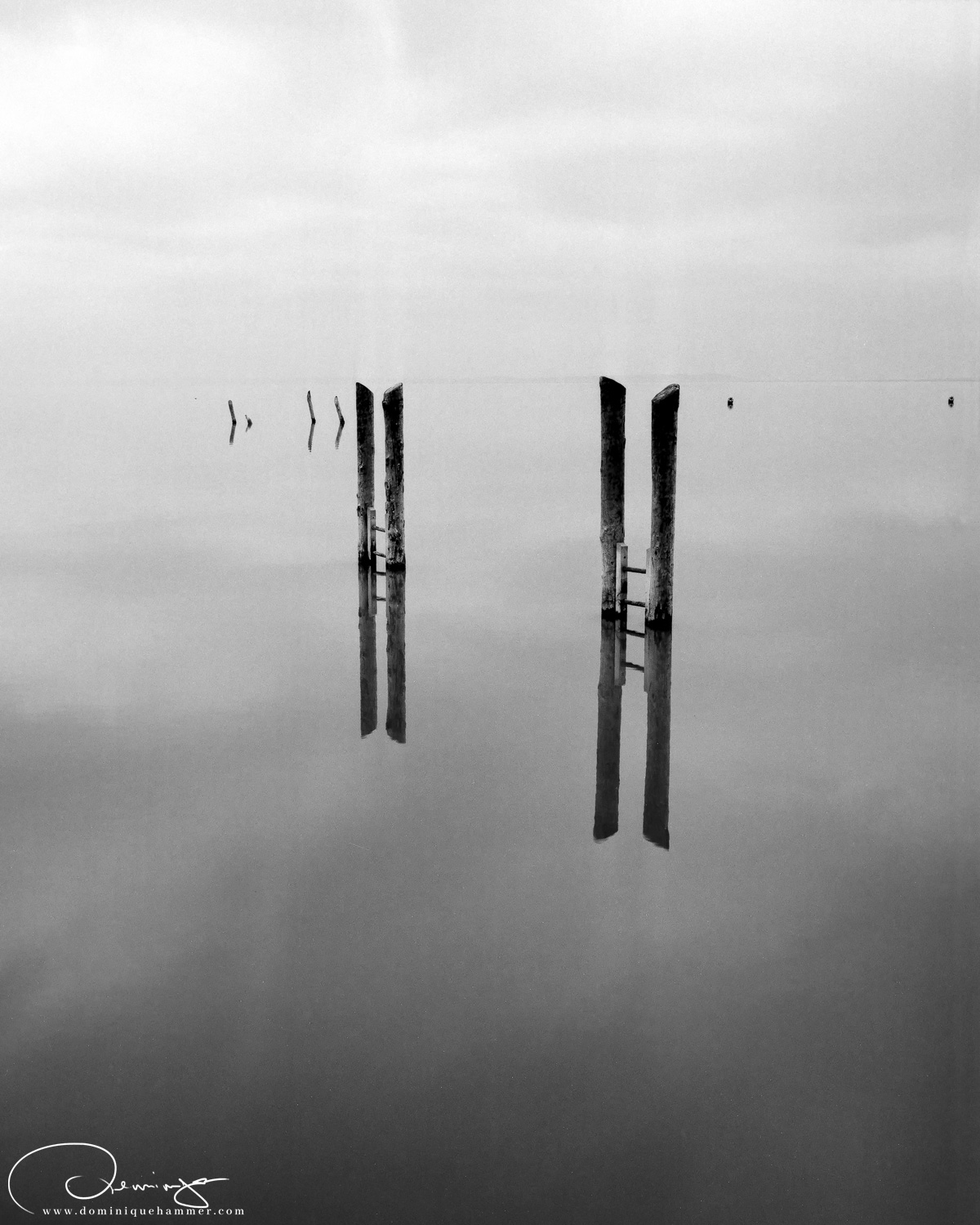 Schwarz-weiss Aufnahme eines Bootsanlegeplatz am Neusiedlersee von Fotograf Dominique Hammer