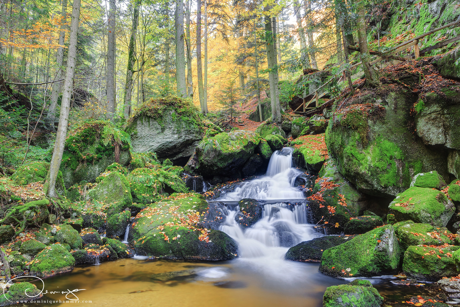 Wasserfall in der Ysperklamm von Fotograf Dominique Hammer
