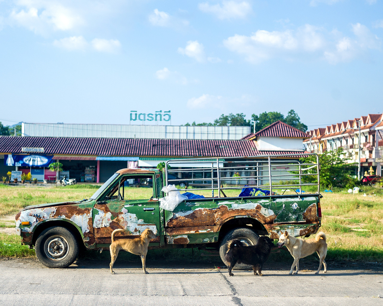 Streunende Hunde vor einem verrosteten Auto in Khao Lak von Fotograf Dominique Hammer
