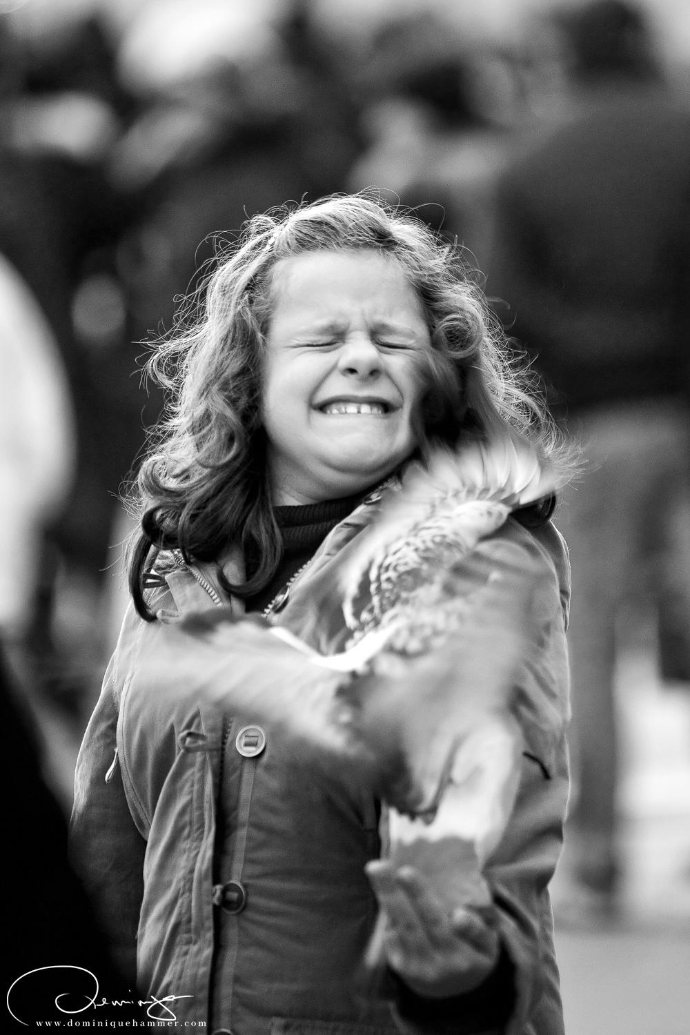 Ein M&auml;dchen f&uuml;ttert eine Taube in Venedig von Fotograf Dominique Hammer